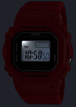 DWN-5600-4