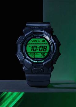 GD-010BEG-1